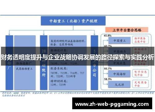 财务透明度提升与企业战略协调发展的路径探索与实践分析
