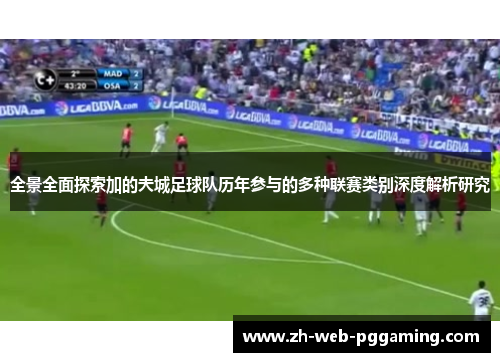 全景全面探索加的夫城足球队历年参与的多种联赛类别深度解析研究