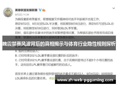 魏震禁赛风波背后的真相揭示与体育行业隐性规则探析