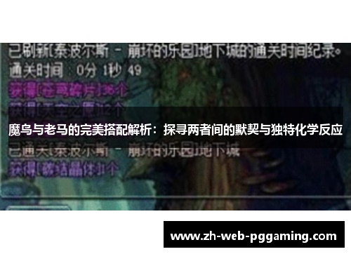 魔鸟与老马的完美搭配解析：探寻两者间的默契与独特化学反应